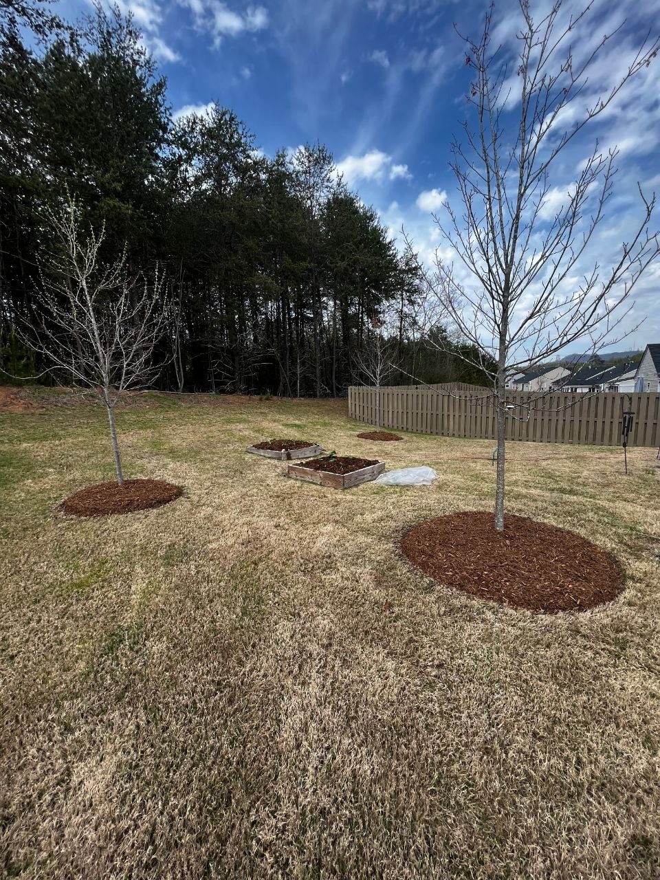 Backyard landscaping with mulch rings, raised garden beds, and fencing — Redwood Landscaping Upstate SC