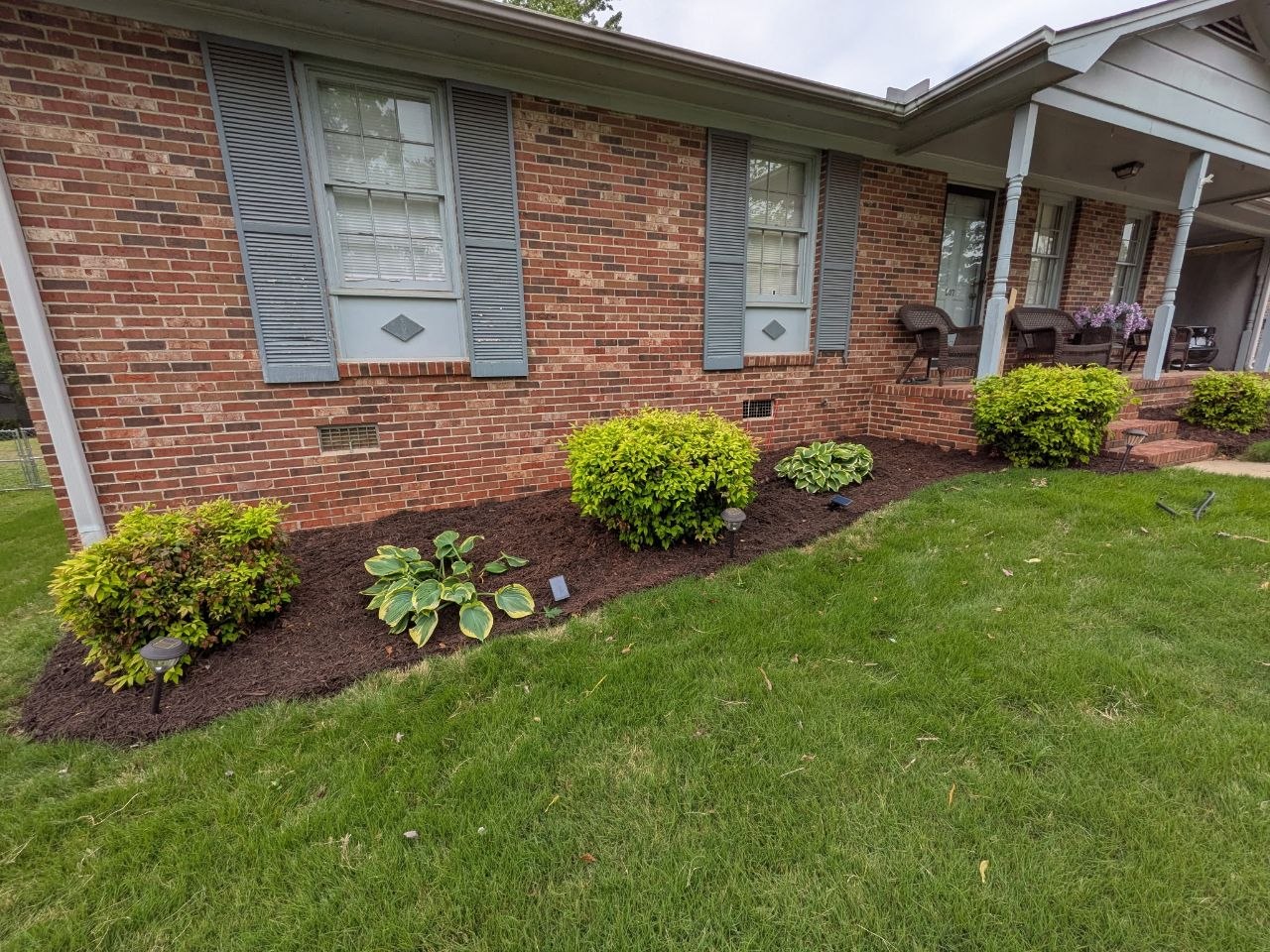 Fresh mulch beds with chartreuse shrubs, hostas, and solar lights — Redwood Landscaping Slater SC